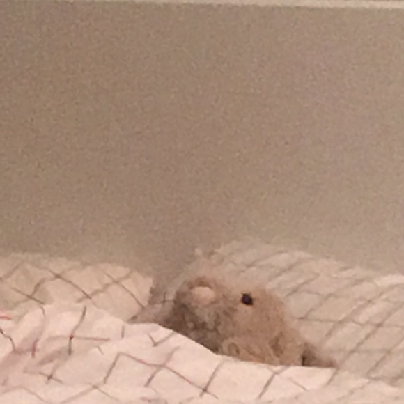 Meet your Posher, Venus - Picture 1 of 1